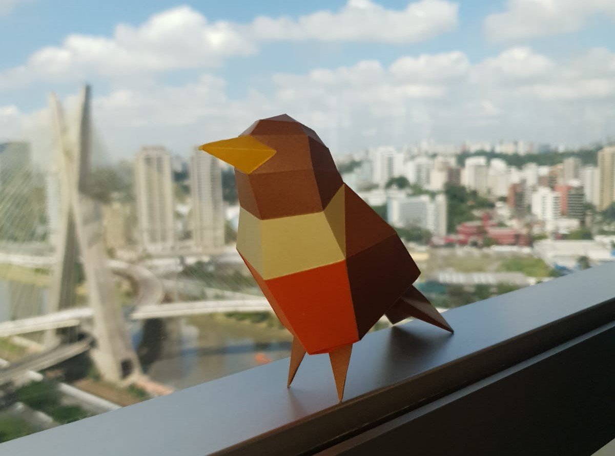 Porque Sabiá-Laranjeira?